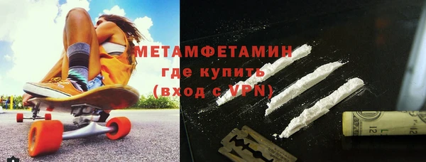 индика Инта