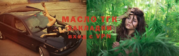 индика Инта