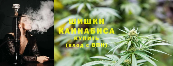 индика Инта