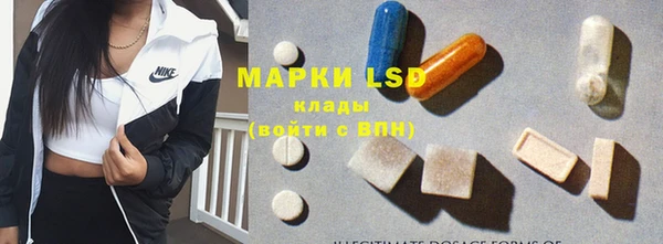 индика Инта