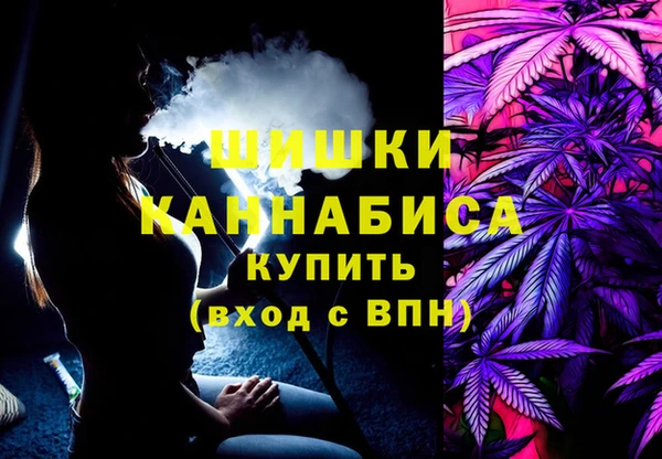 mdpv Инсар