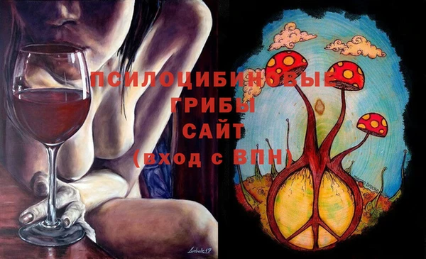 индика Инта