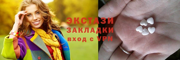 индика Инта