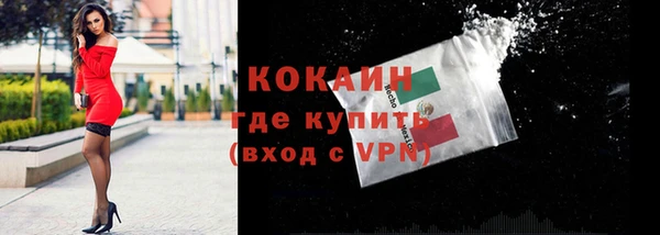 индика Инта