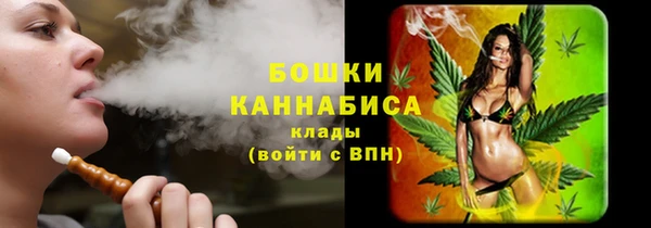 mdpv Инсар