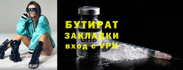 индика Инта