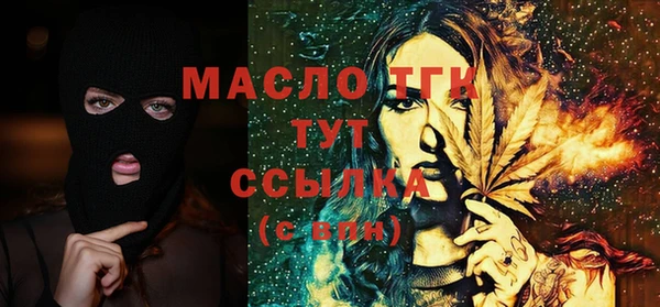 индика Инта