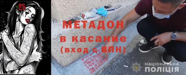 индика Инта