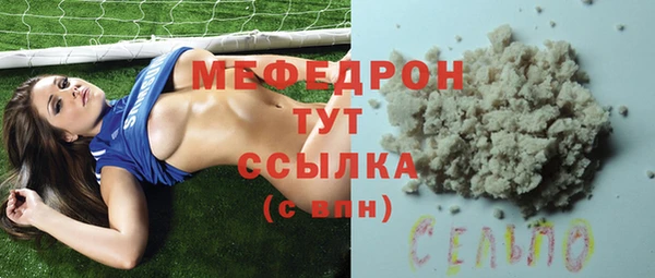 индика Инта