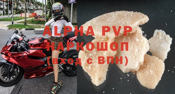индика Инта