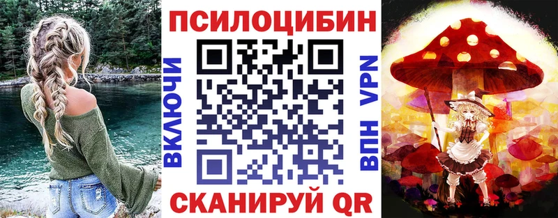 Псилоцибиновые грибы Cubensis  Купить закладки  Барыш 